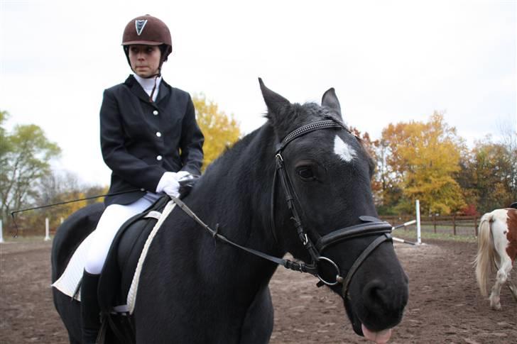 Stævne på Enggården 09 Dressur (rideskolen) billede 37