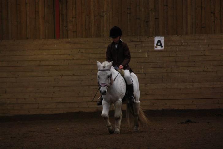 Stævne på Enggården 09 Dressur (rideskolen) billede 38