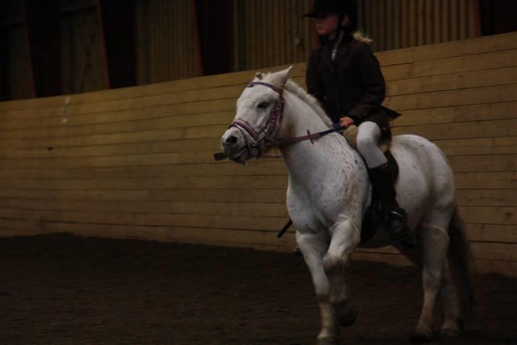 Stævne på Enggården 09 Dressur (rideskolen) billede 39