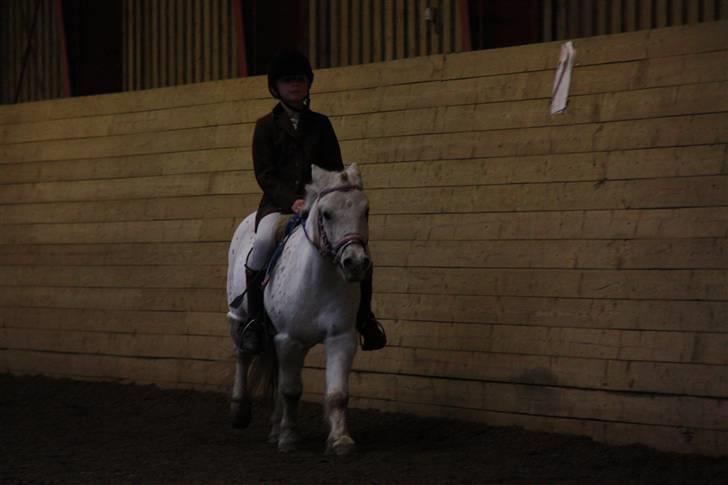 Stævne på Enggården 09 Dressur (rideskolen) billede 40