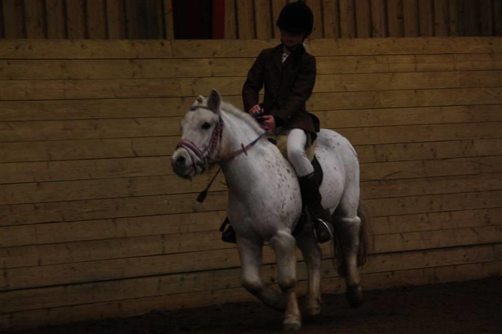 Stævne på Enggården 09 Dressur (rideskolen) billede 42