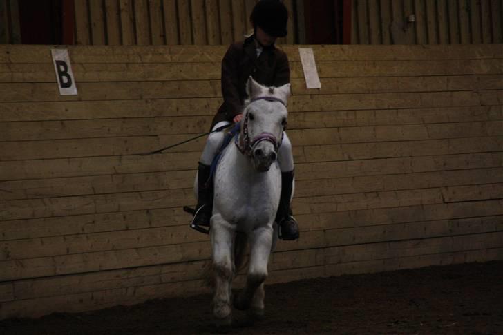 Stævne på Enggården 09 Dressur (rideskolen) billede 45