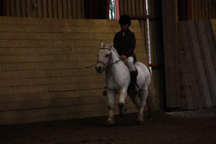 Stævne på Enggården 09 Dressur (rideskolen) billede 46