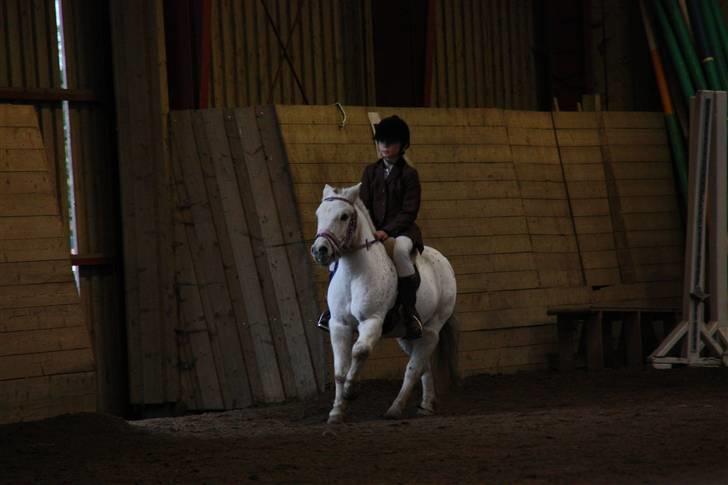 Stævne på Enggården 09 Dressur (rideskolen) billede 47