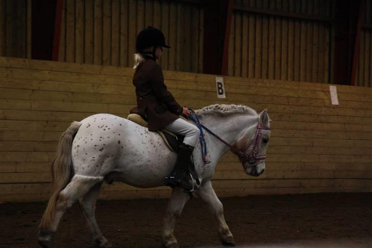 Stævne på Enggården 09 Dressur (rideskolen) billede 48