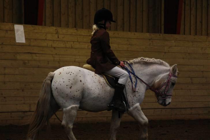 Stævne på Enggården 09 Dressur (rideskolen) billede 49