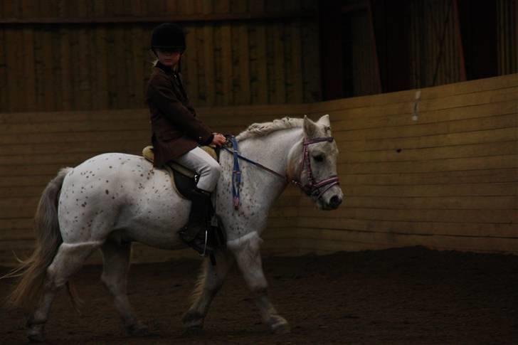 Stævne på Enggården 09 Dressur (rideskolen) billede 50
