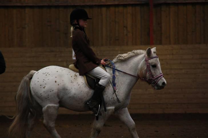 Stævne på Enggården 09 Dressur (rideskolen) billede 51