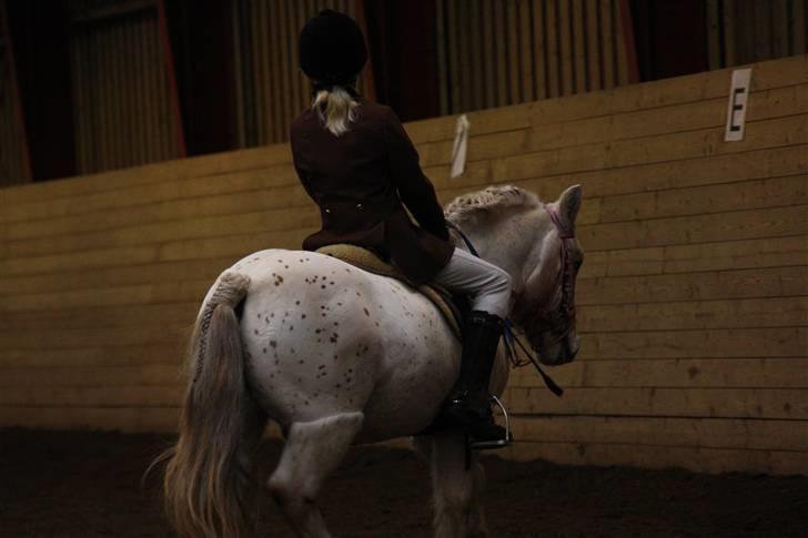 Stævne på Enggården 09 Dressur (rideskolen) billede 52