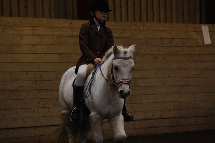 Stævne på Enggården 09 Dressur (rideskolen) billede 53