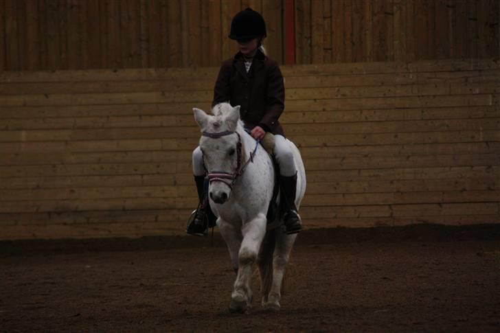 Stævne på Enggården 09 Dressur (rideskolen) billede 54