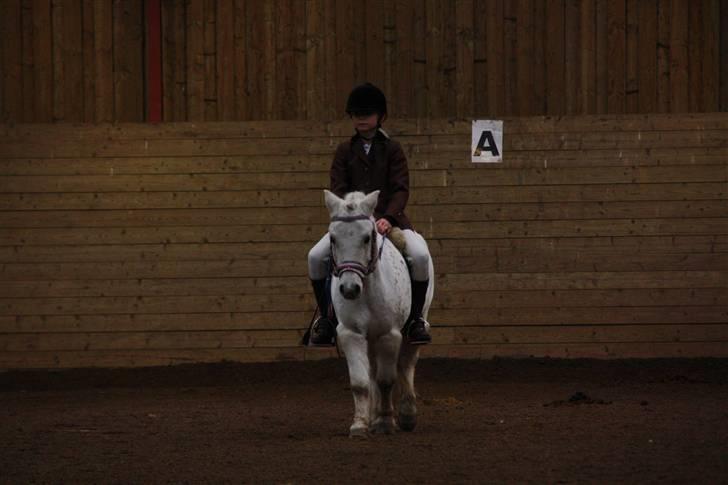 Stævne på Enggården 09 Dressur (rideskolen) billede 55