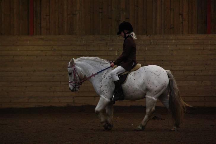 Stævne på Enggården 09 Dressur (rideskolen) billede 56