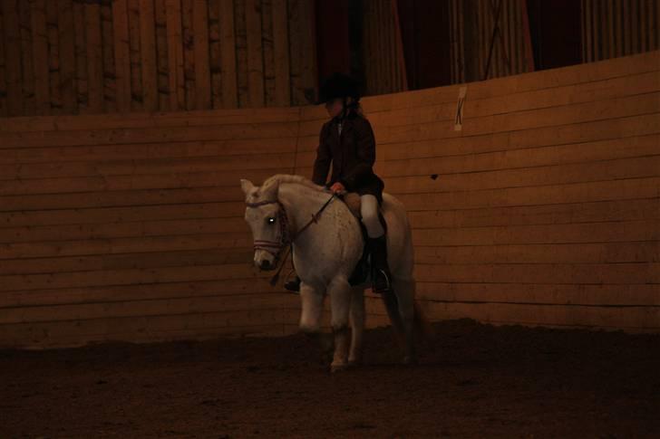 Stævne på Enggården 09 Dressur (rideskolen) billede 57