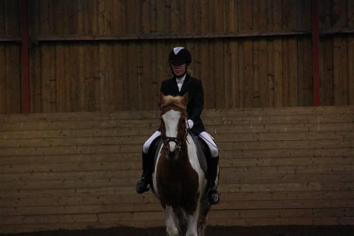 Stævne på Enggården 09 Dressur (rideskolen) billede 58