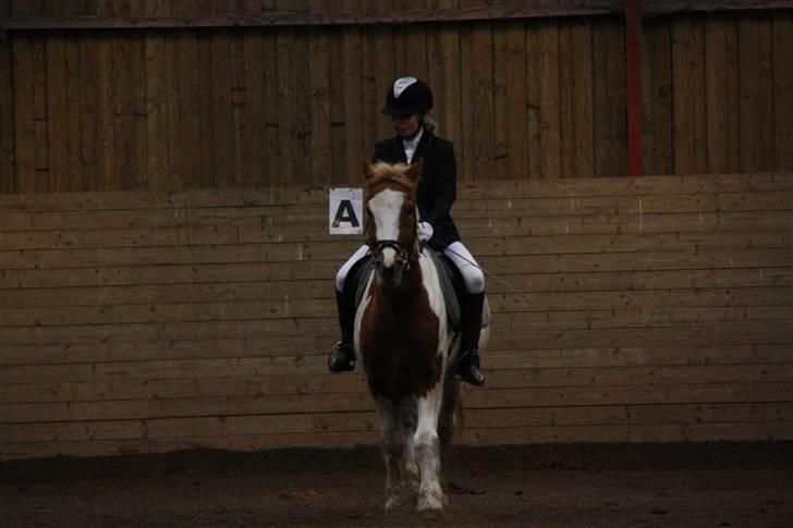 Stævne på Enggården 09 Dressur (rideskolen) billede 59