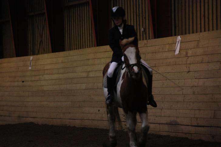 Stævne på Enggården 09 Dressur (rideskolen) billede 60