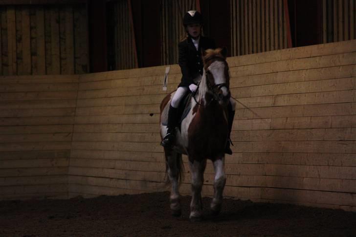 Stævne på Enggården 09 Dressur (rideskolen) billede 61