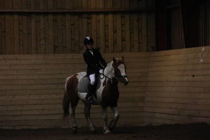 Stævne på Enggården 09 Dressur (rideskolen) billede 62