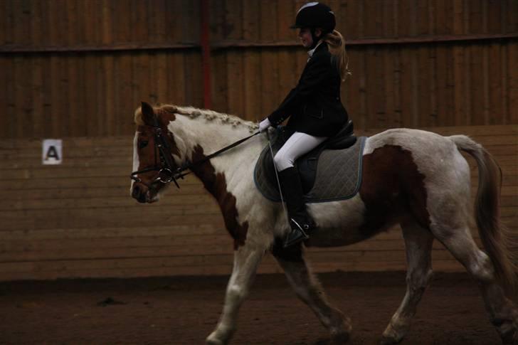 Stævne på Enggården 09 Dressur (rideskolen) billede 63