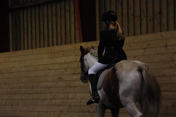 Stævne på Enggården 09 Dressur (rideskolen) billede 64