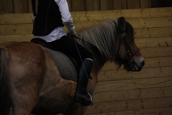 Stævne på Enggården 09 Dressur (rideskolen) billede 65