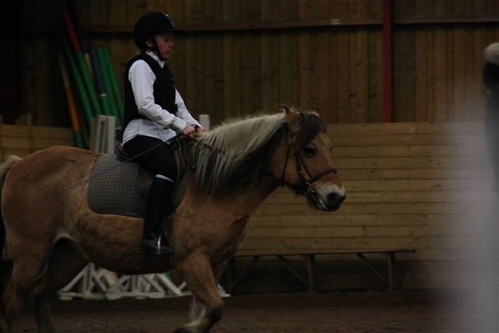 Stævne på Enggården 09 Dressur (rideskolen) billede 66