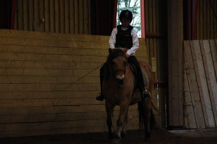 Stævne på Enggården 09 Dressur (rideskolen) billede 67