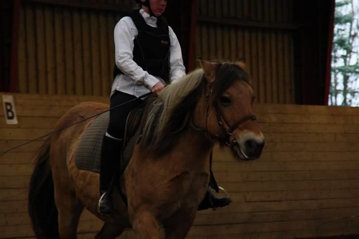 Stævne på Enggården 09 Dressur (rideskolen) billede 68