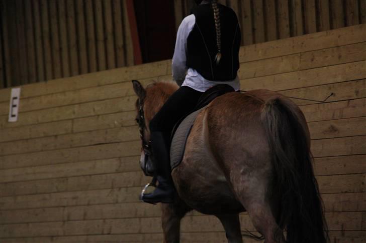 Stævne på Enggården 09 Dressur (rideskolen) billede 69