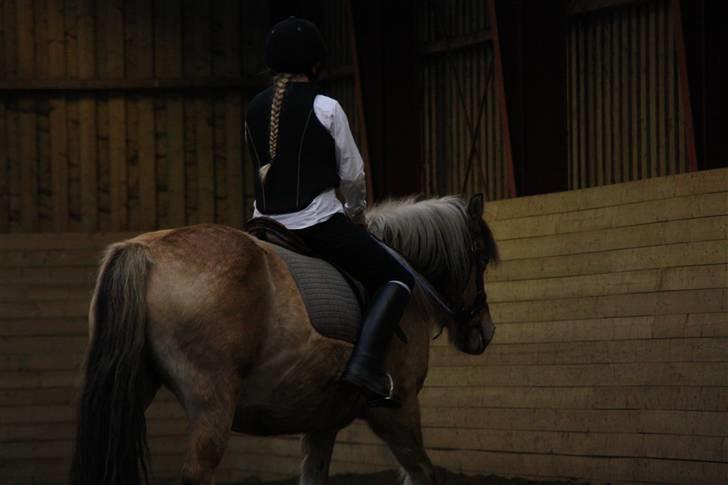 Stævne på Enggården 09 Dressur (rideskolen) billede 71