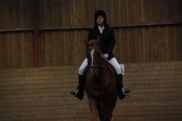 Stævne på Enggården 09 Dressur (rideskolen) billede 73