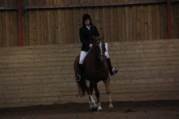 Stævne på Enggården 09 Dressur (rideskolen) billede 74