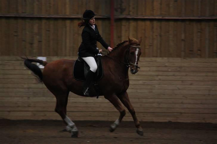 Stævne på Enggården 09 Dressur (rideskolen) billede 75