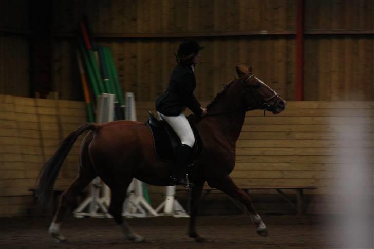 Stævne på Enggården 09 Dressur (rideskolen) billede 76