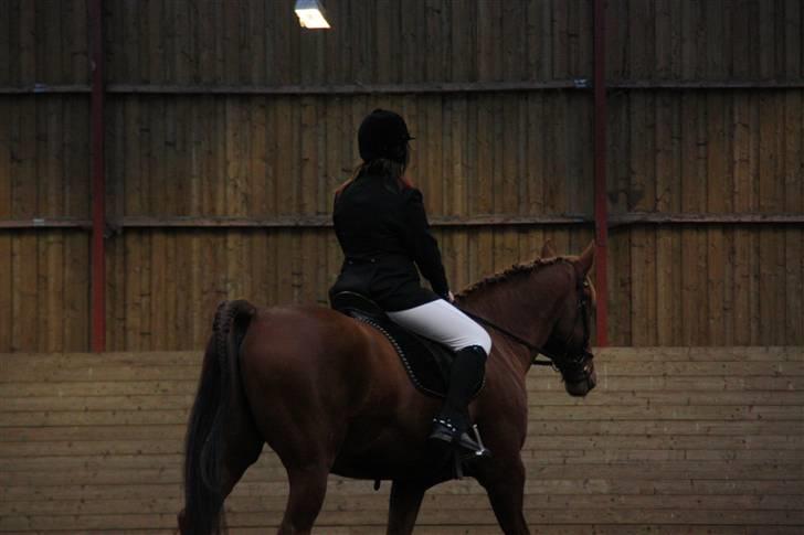 Stævne på Enggården 09 Dressur (rideskolen) billede 77