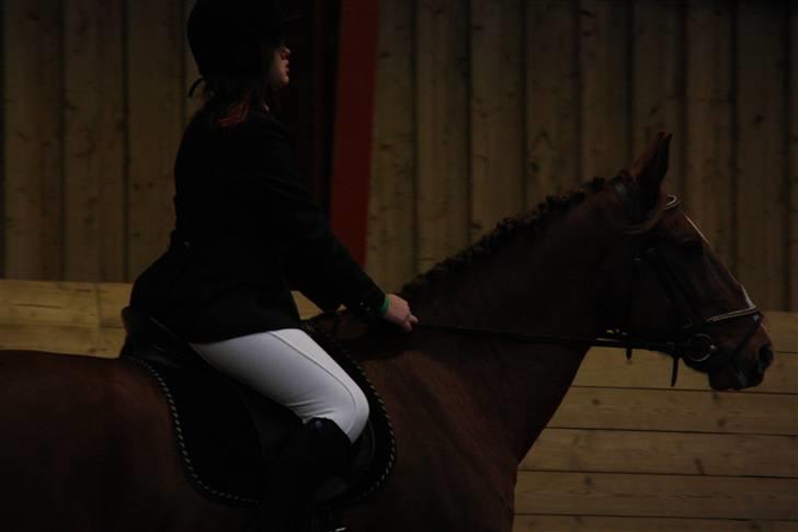 Stævne på Enggården 09 Dressur (rideskolen) billede 78