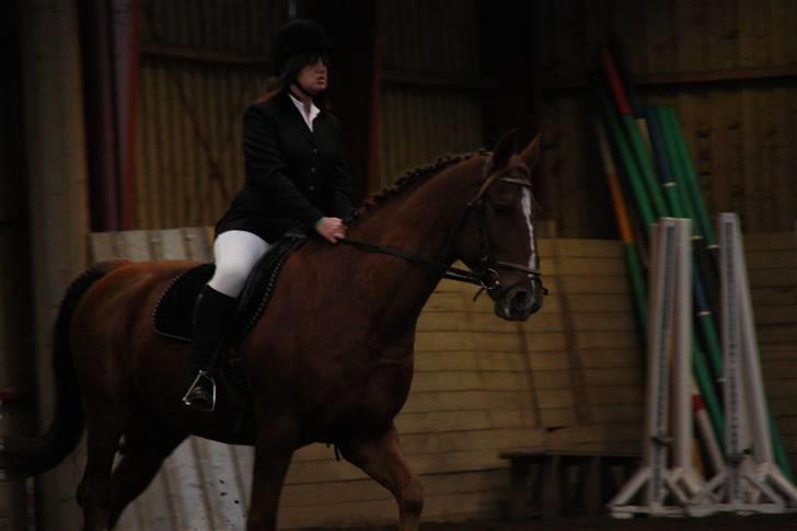 Stævne på Enggården 09 Dressur (rideskolen) billede 79