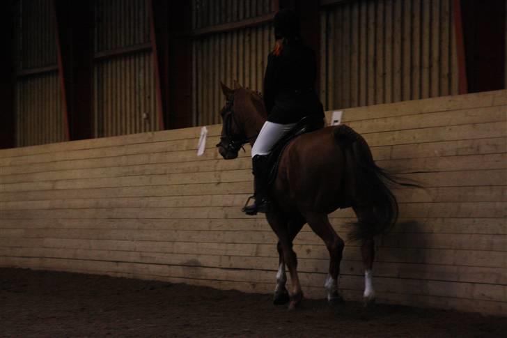 Stævne på Enggården 09 Dressur (rideskolen) billede 82