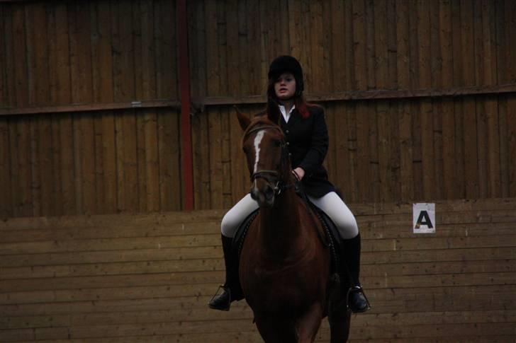 Stævne på Enggården 09 Dressur (rideskolen) billede 83