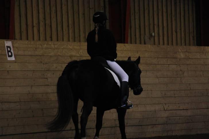 Stævne på Enggården 09 Dressur (rideskolen) billede 85