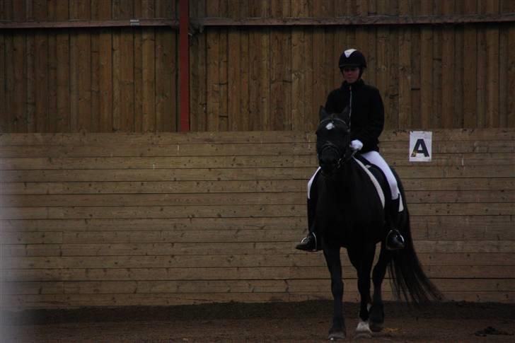 Stævne på Enggården 09 Dressur (rideskolen) billede 87