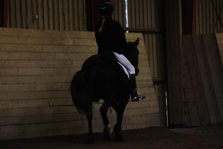 Stævne på Enggården 09 Dressur (rideskolen) billede 88