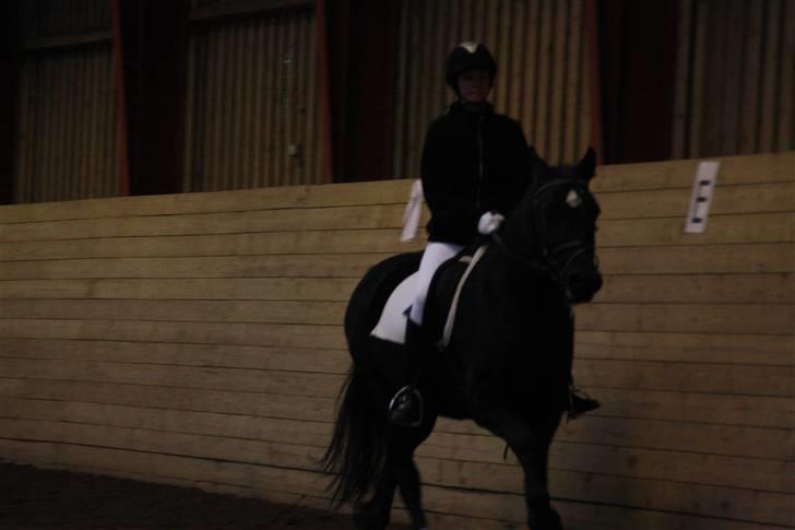 Stævne på Enggården 09 Dressur (rideskolen) billede 89