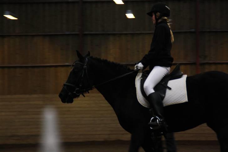 Stævne på Enggården 09 Dressur (rideskolen) billede 90