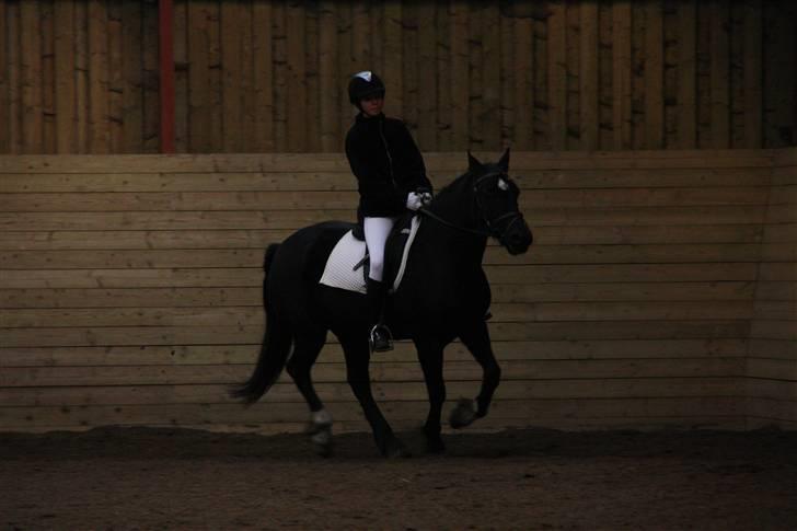 Stævne på Enggården 09 Dressur (rideskolen) billede 91