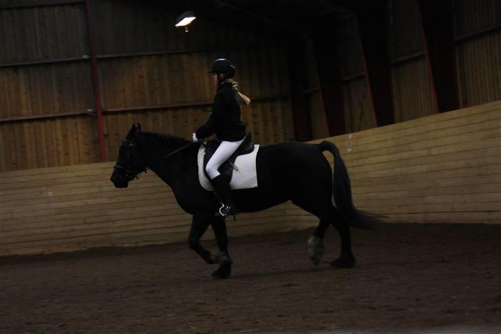 Stævne på Enggården 09 Dressur (rideskolen) billede 92