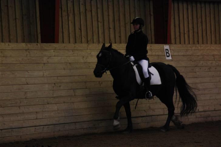 Stævne på Enggården 09 Dressur (rideskolen) billede 93