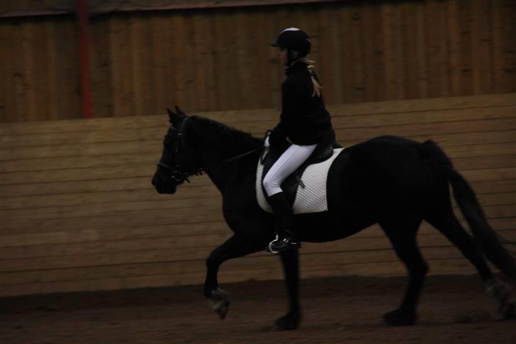 Stævne på Enggården 09 Dressur (rideskolen) billede 94