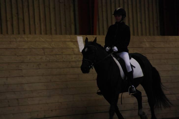 Stævne på Enggården 09 Dressur (rideskolen) billede 95